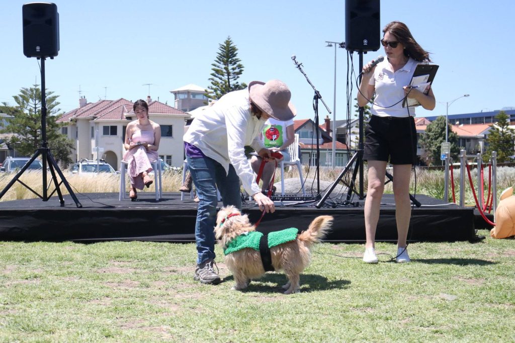 Merry Christmas for the 4Legs "Jingle Balls, Dogs Day Out" festival of dogs and christmas