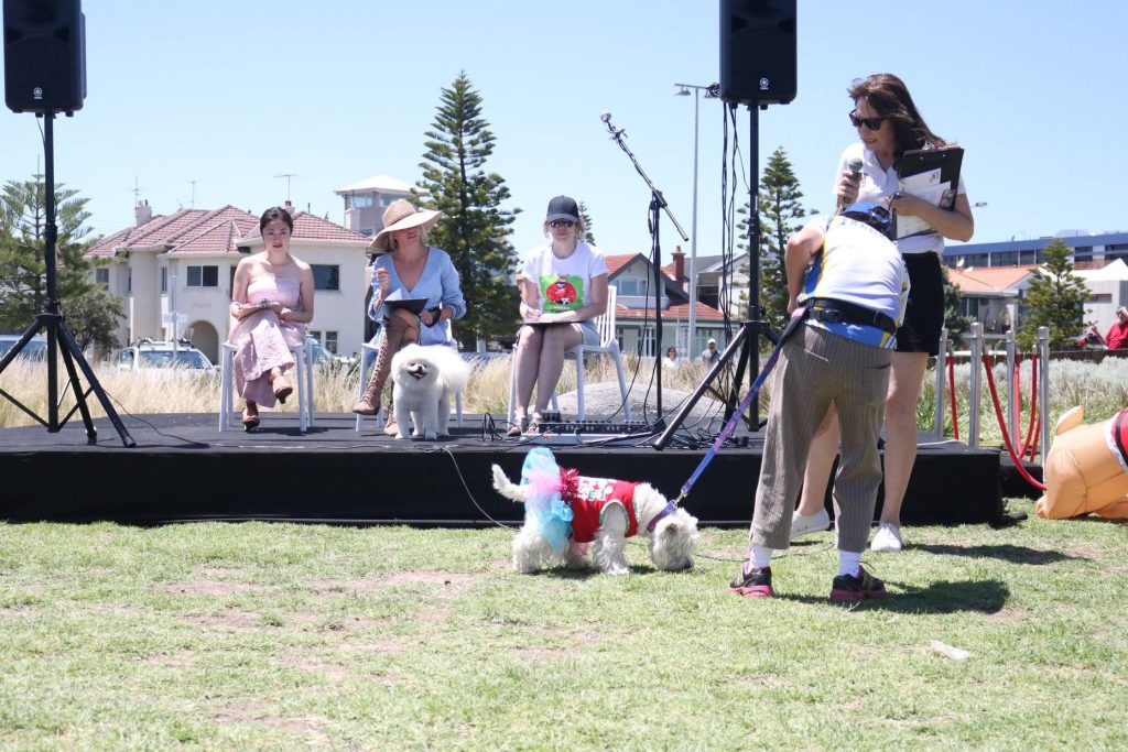 Photos from Christmas Events