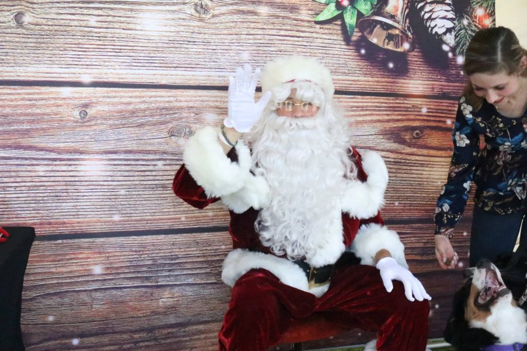 Merry Christmas for the 4Legs "Jingle Balls, Dogs Day Out" festival of dogs and christmas